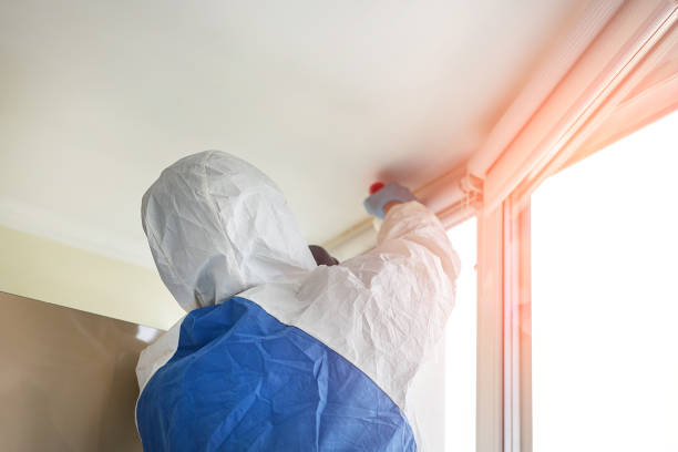 Best Residential Mold Inspection & Testing  in Ocean Springs, MS